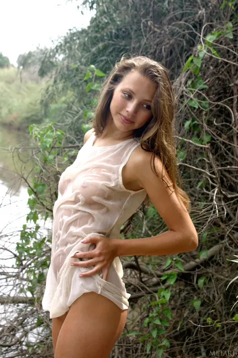 Sandra B: Brunette with Small Natural Tits Strips Nude and Poses Naked – photo 18 of 21