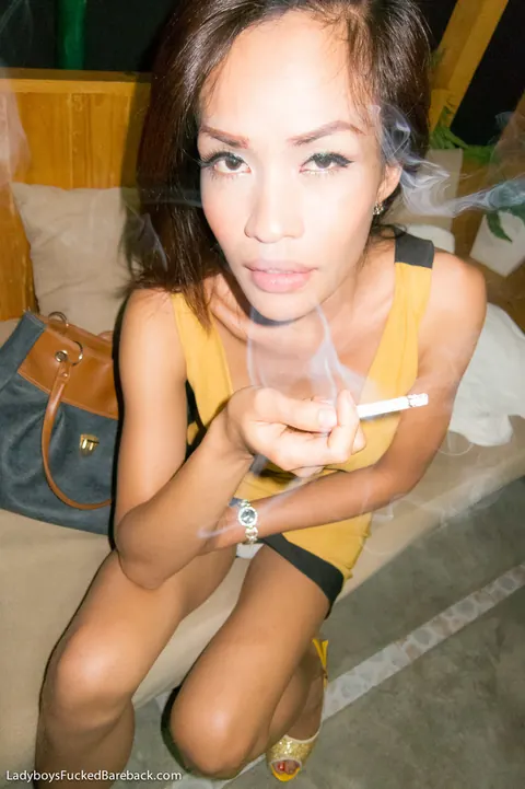Slim Thai Trans Woman Takes Bareback Anal and a Creampie in Heels – photo 16 of 17