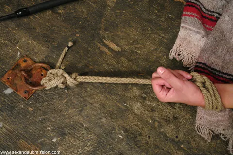 Nadia Nyce: Brunette MILF with Small Natural Tits Has Bondage Sex – photo 10 of 21