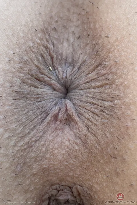 Lily Adams: Thick Brunette Spreads Her Shaved Pussy and Shows Anal – photo 9 of 21
