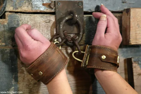 Melissa Lauren: Thick French MILF Whipped and Uses a Dildo in Bondage – photo 2 of 21