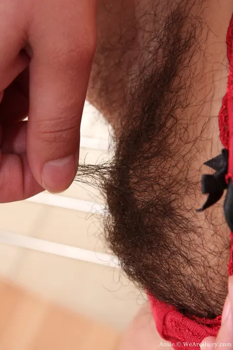 Ansie Rocher: Redhead Strips and Poses Nude Showing Her Small Tits and Hairy Bush – photo 9 of 17