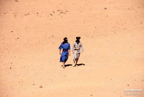 Julia Spain: Hairy MILF in Costume Takes Double Penetration in the Desert – photo 1 of 12