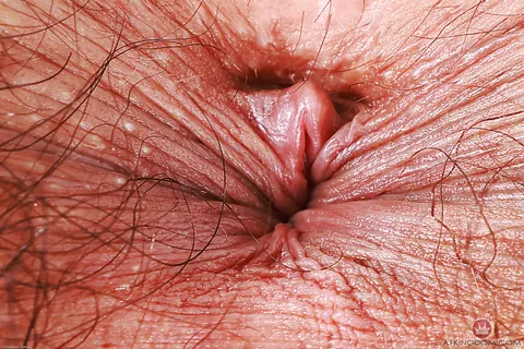Latina Undresses and Bares Her Hairy Bush – photo 21 of 21