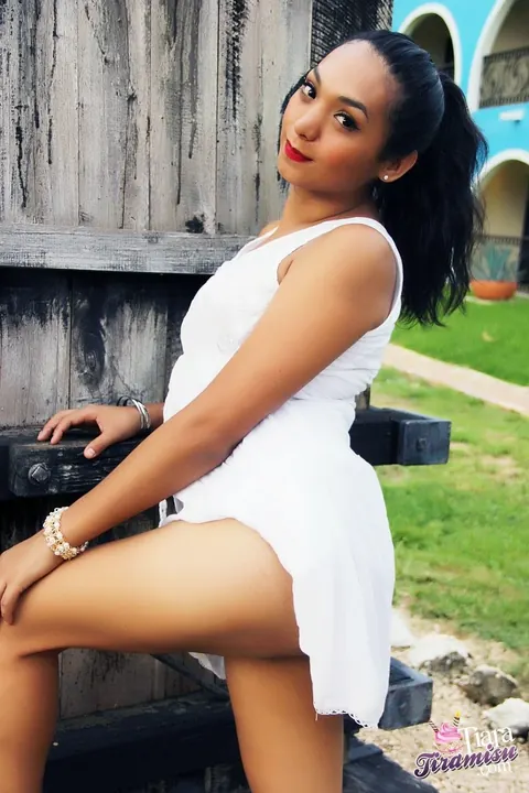 Thick Latina Trans Woman Strips Out of Her Dress Outdoors – photo 15 of 15
