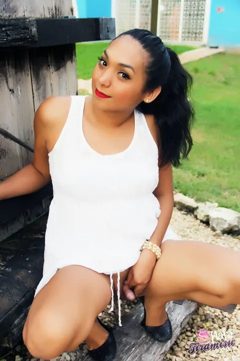 Thick Latina Trans Woman Strips Out of Her Dress Outdoors – photo 14 of 15