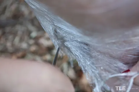Madison Missina: Redhead Bound to a Tree in Plastic Wrap Outdoors – photo 10 of 16