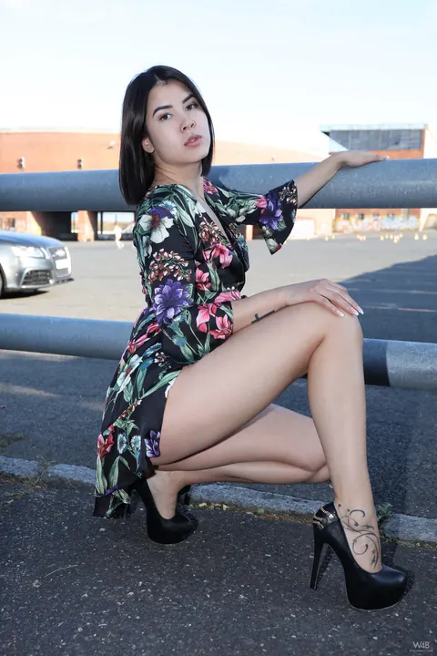 Lady Dee: Skinny Czech Babe Spreads Outdoors by a Car in Heels – photo 5 of 21