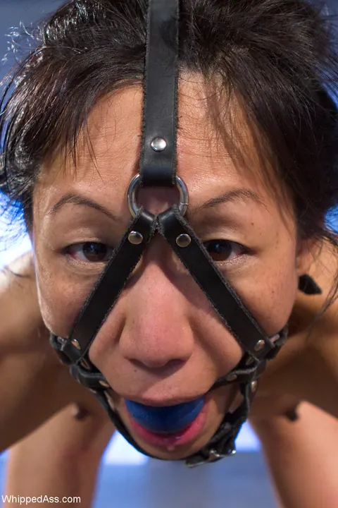 Maitresse Madeline Marlowe: Petite Asian Lesbians in Pantyhose Play Strap-On Anal Bondage – photo 1 of 21