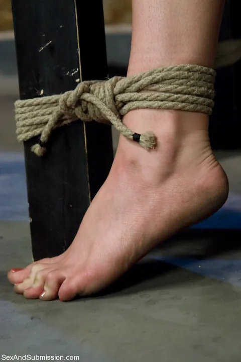 Allison Pierce: Blonde PAWG Gets Doggy Style in Bondage for a Cumshot – photo 10 of 21