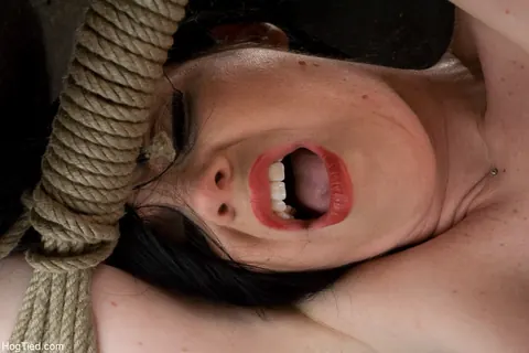 Sybil Hawthorne: Busty Brunette in Stockings Bound and Toyed – photo 21 of 21
