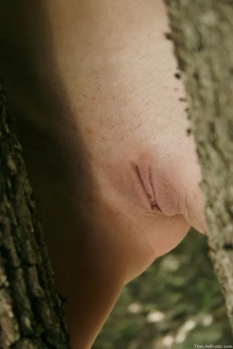 Thick Brunette Undresses and Spreads Her Ass in the Forest – photo 18 of 21