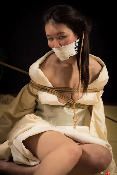 Japanese Brunette Bound in Shibari with a Meow Gag – photo 5 of 16