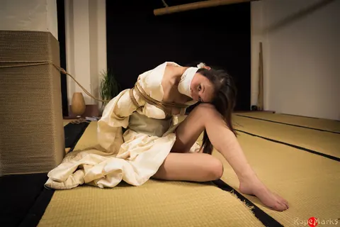 Japanese Brunette Bound in Shibari with a Meow Gag – photo 9 of 16