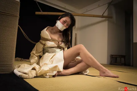 Japanese Brunette Bound in Shibari with a Meow Gag – photo 7 of 16