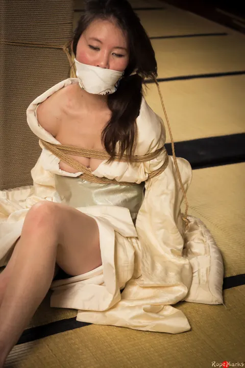Japanese Brunette Bound in Shibari with a Meow Gag – photo 11 of 16