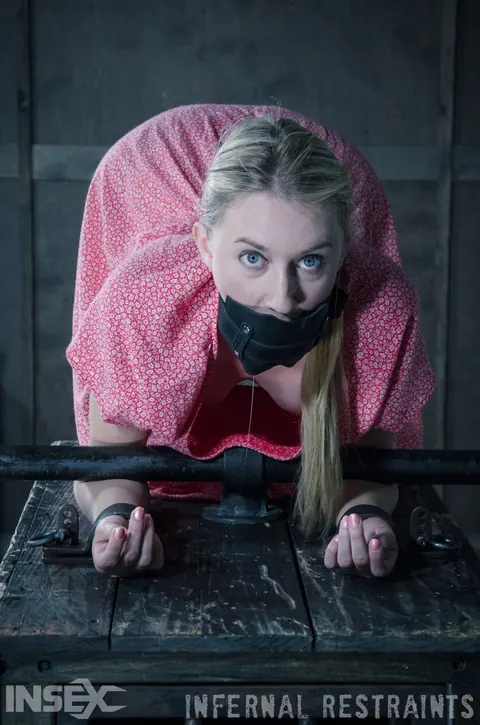 Riley Reyes: Blonde with Natural Tits Takes Butt Plug and Dildo in Bondage – photo 8 of 14