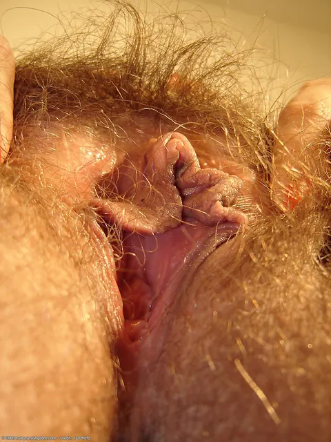 Curvy Blonde Undresses and Spreads Her Hairy Pussy – photo 14 of 20