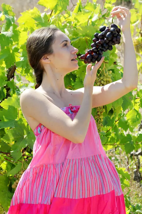Slim Woman Undresses Naked in a Berry Field – photo 6 of 21