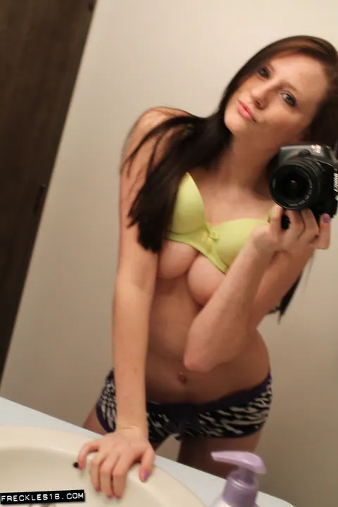 Busty Brunette Takes Mirror Selfies in Lingerie and Shorts – photo 11 of 12