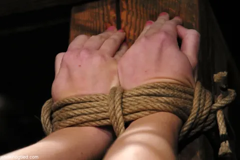 Sarah Jane Ceylon: Slim Blonde MILF Bound to a Pillar in Bondage – photo 2 of 21