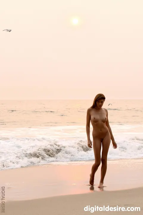 Victoria Valmer: Brunette Strips Nude, Poses Front and Back and Arches Her Spine – photo 17 of 21