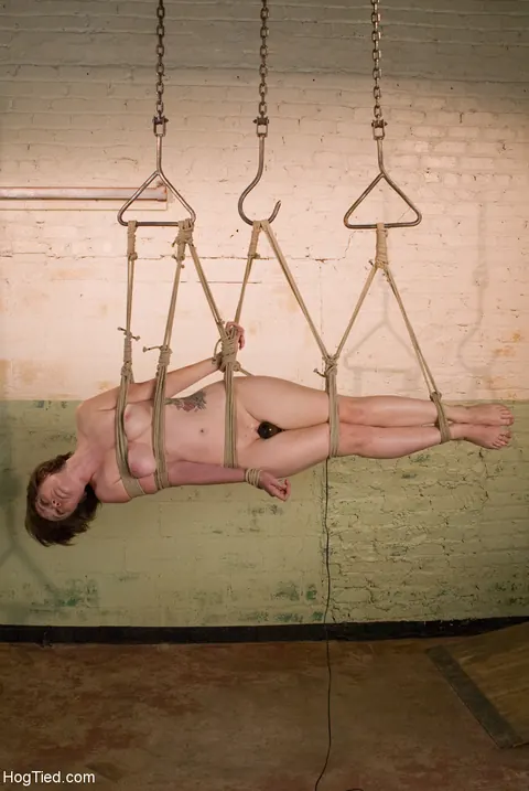 Claudia LeNoir: Pale Brunette MILF Bound in Rope and Punished with a Vibrator – photo 17 of 21