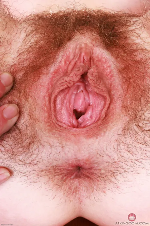 Chloe Foster: Thick Blonde in Panties Spreads Her Hairy Pussy and Ass – photo 16 of 21