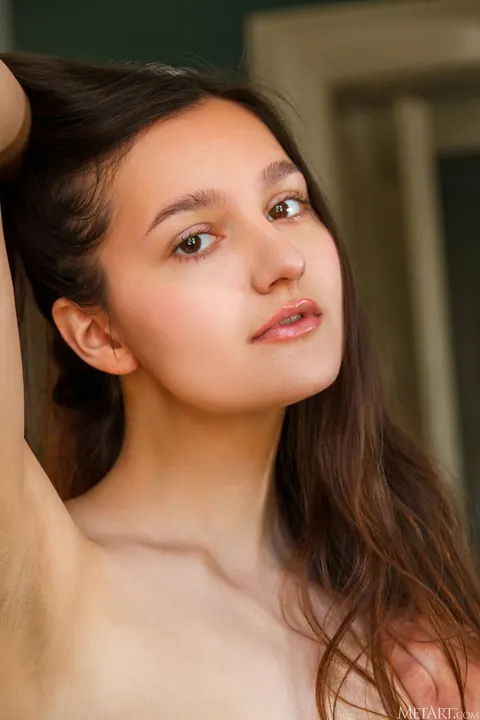 Brunette Undresses to Show Her Hairy Bush – photo 13 of 21