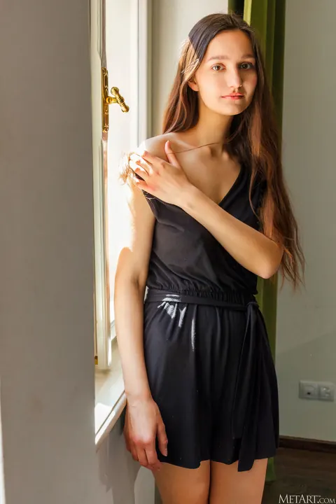 Brunette Undresses to Show Her Hairy Bush – photo 3 of 21