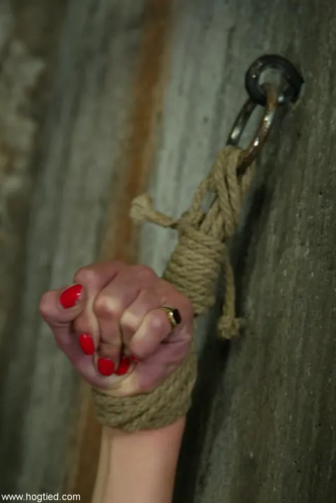 Lynn Dumaire: Brunette Gets Hogtied in Tight Rope Bondage – photo 4 of 21