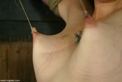 Lynn Dumaire: Brunette Gets Hogtied in Tight Rope Bondage – photo 18 of 21