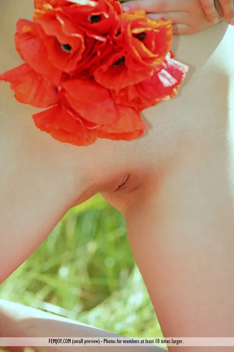 PAWG Strips Nude and Spreads Her Pussy in a Poppy Field – photo 7 of 16