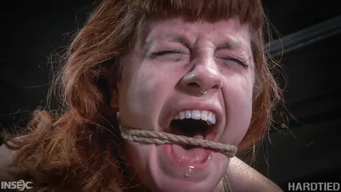 Barbary Rose: Redhead in Stockings and Thong Bound and Fucks Herself with a Dildo – photo 10 of 14