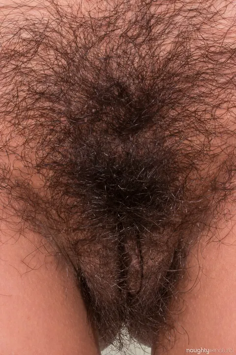 Vivi Marie: Curvy Latina Brunette Spreads Her Hairy Pussy Close Up – photo 14 of 21