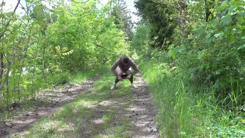 European in Glasses Lowers Yoga Pants to Pee on the Forest Path – photo 14 of 15