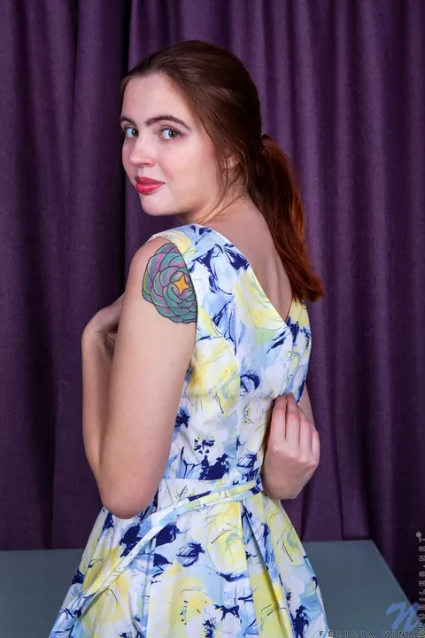 Felicia Vina: Petite Brunette in a Dress and Heels Shows Off Her Shaved Pussy – photo 6 of 21