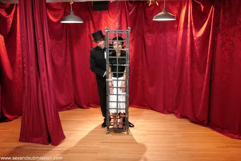 Soolin Kelter: Slim Korean MILF in a Skirt Bound and Caged During a Magic Show – photo 10 of 20