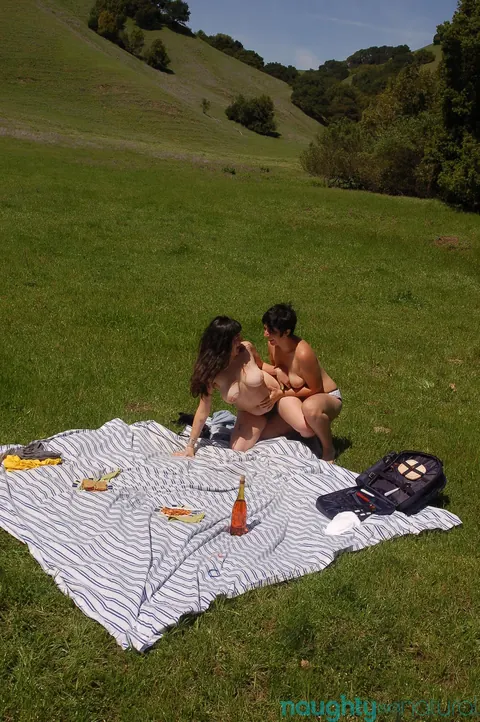 Nikki Silver: Busty Hairy Brunette Embraces Her Partner Nude at a Picnic – photo 16 of 21