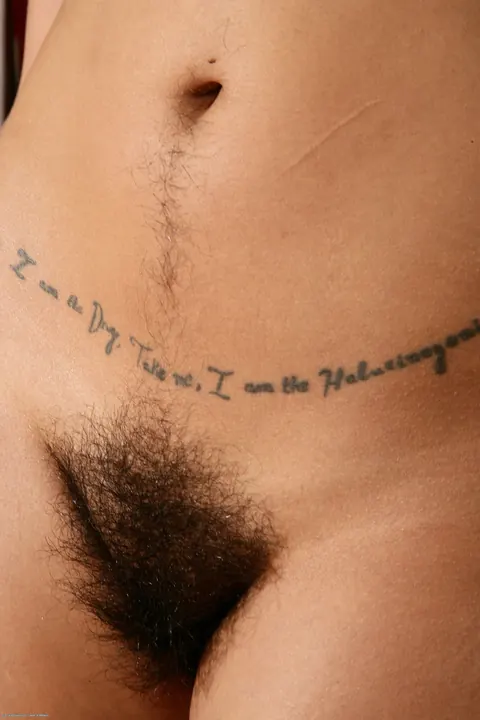 Rhys Adams: Thick Latina MILF in Lingerie Strips and Spreads Her Hairy Holes – photo 10 of 20