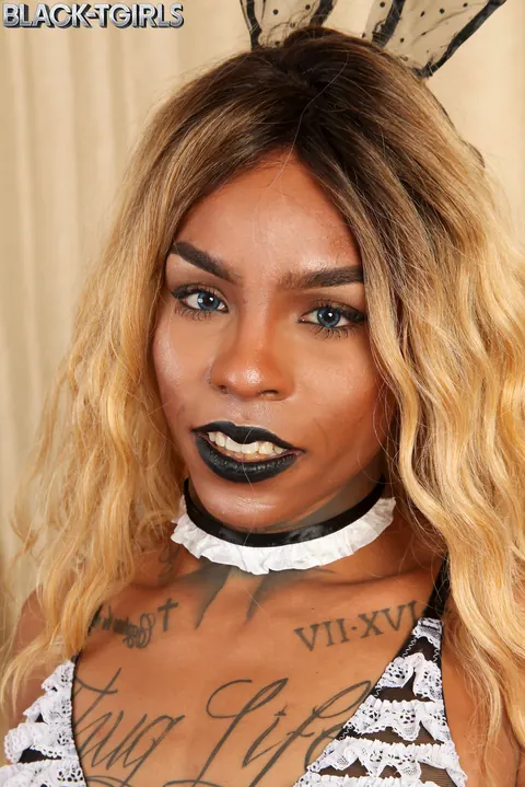 Ebony Trans Woman Undresses and Shows Her Hairy Bush – photo 3 of 16