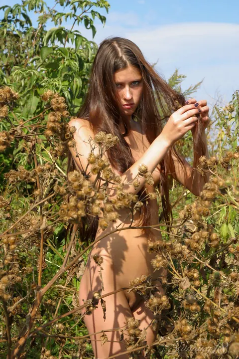 Brunette Poses Nude Among Brambles Outdoors – photo 15 of 16
