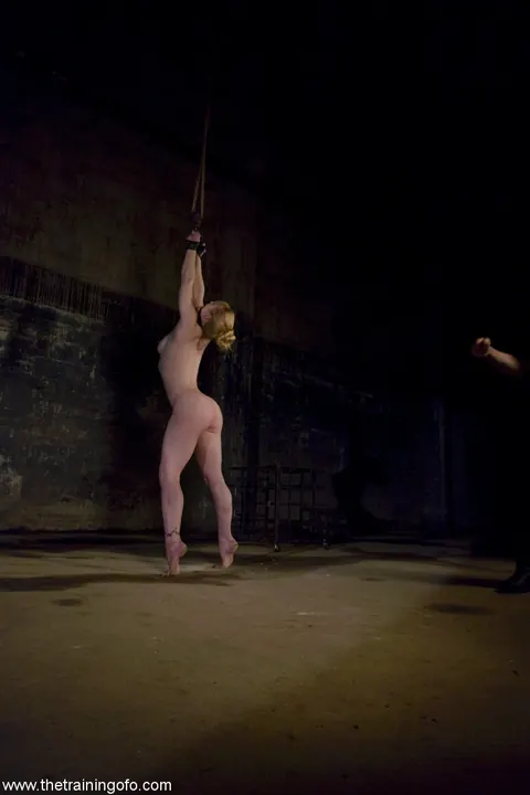 Tawni Ryden: Tall Blonde MILF Stands Bound in Rope Restraints – photo 5 of 20
