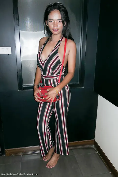 Thai Trans Woman in Ripped Fishnets Takes Anal and Uses a Dildo – photo 20 of 21