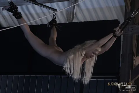Alma Deluxe: Blonde with Small Tits Fucked While Suspended in Bondage – photo 15 of 19
