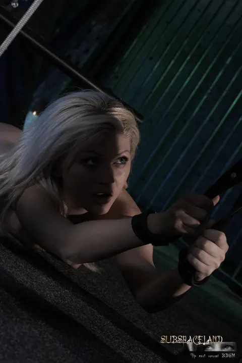 Alma Deluxe: Blonde with Small Tits Fucked While Suspended in Bondage – photo 14 of 19