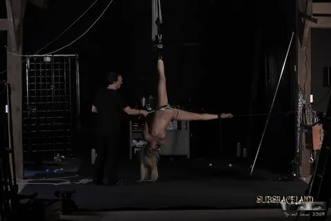 Alma Deluxe: Blonde with Small Tits Fucked While Suspended in Bondage – photo 13 of 19