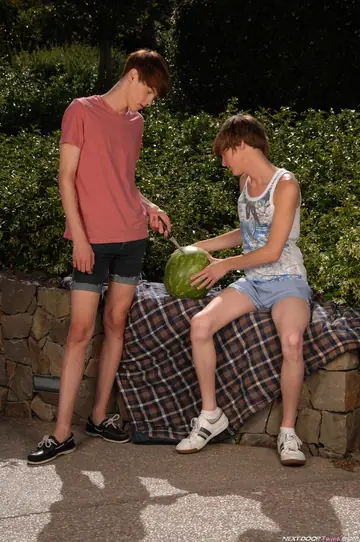 Two Twinks Kiss, Suck and Fuck Outdoors