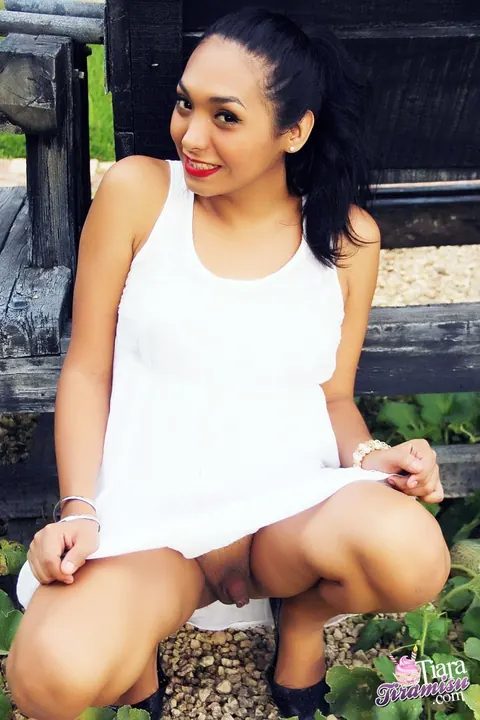 Trans Woman Poses Nude in Her Dress Outdoors – photo 11 of 15