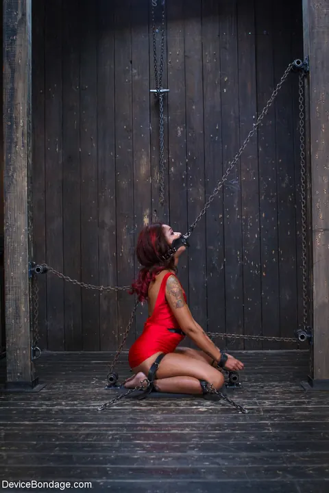 Skin Diamond: Busty Ebony Bound and Takes a Dildo – photo 2 of 21